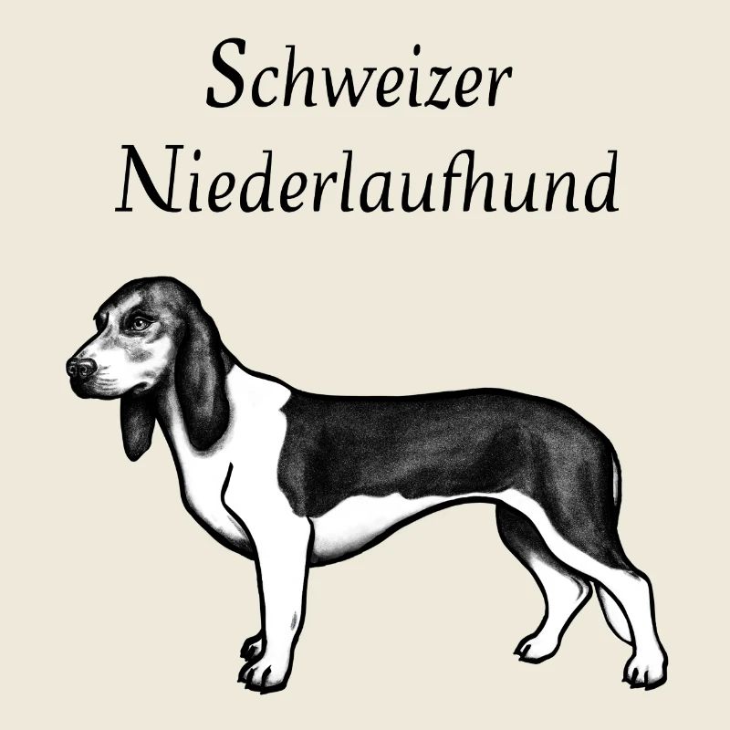 Swiss Low-Run Dog