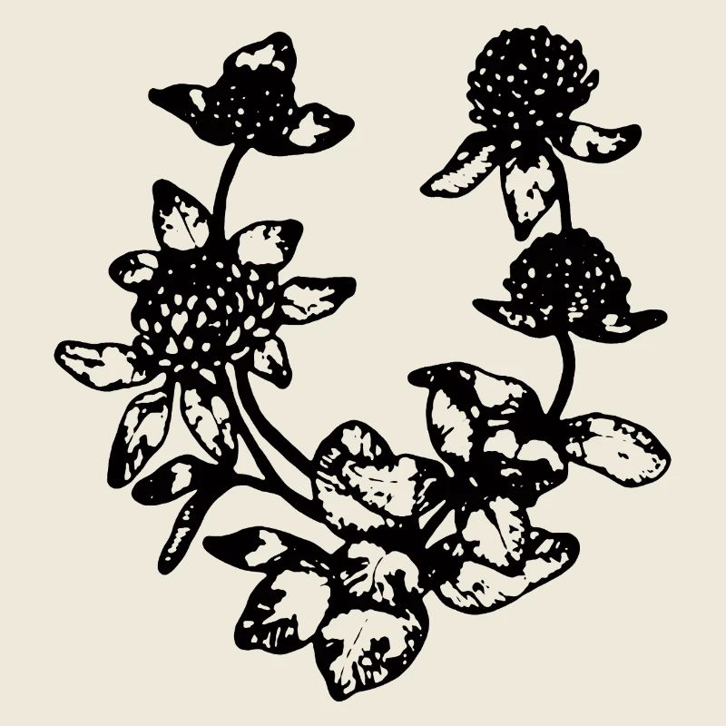 RED CLOVER