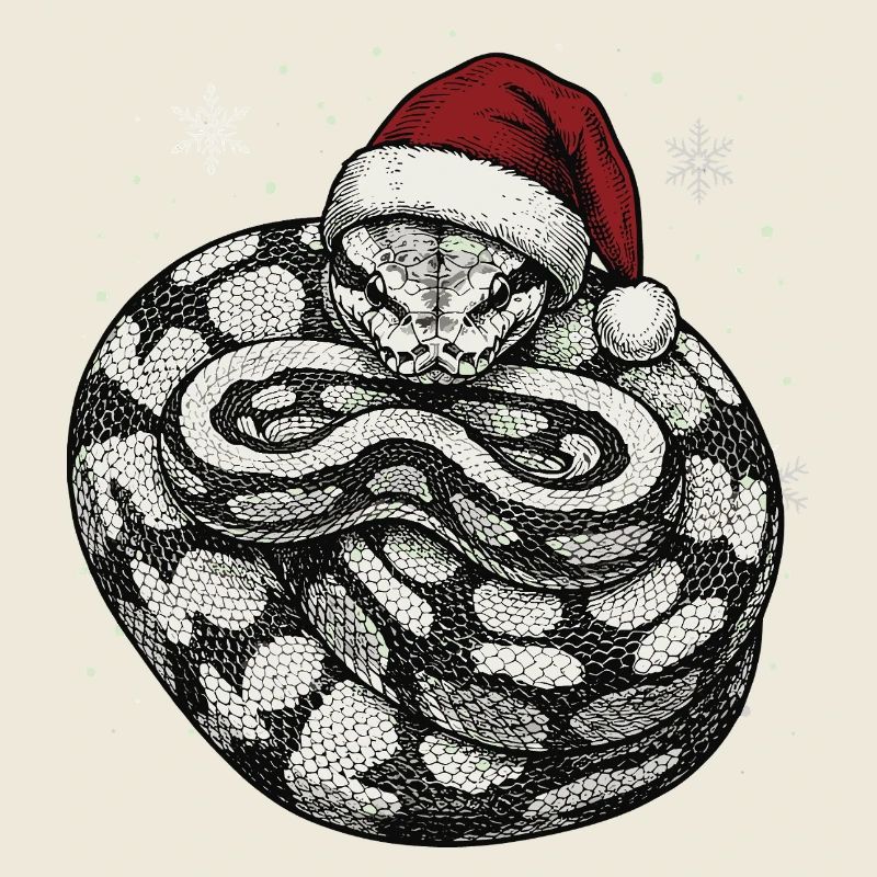 King Python Christmas Ball Python Snake
