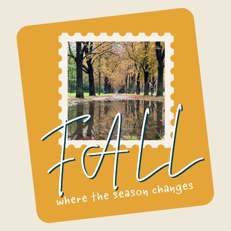 FALL Herbstpfade