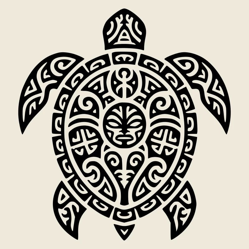tortue