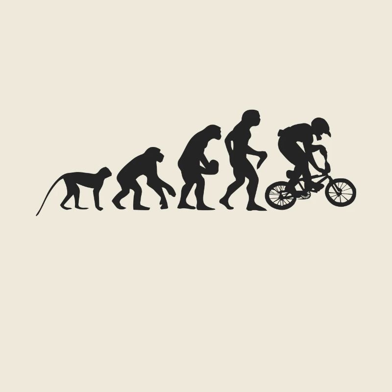 Evolution BMX