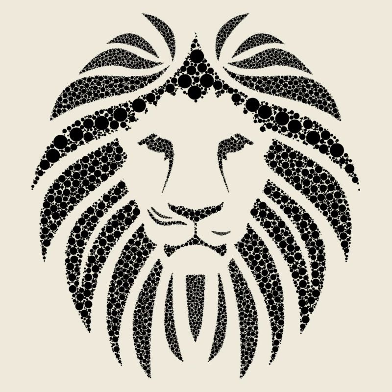 Lion black beautiful