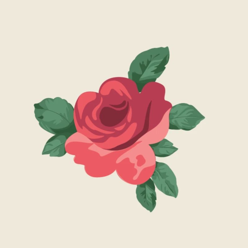 Rose