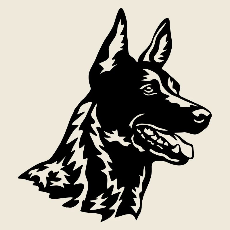 Hollandse Herder head