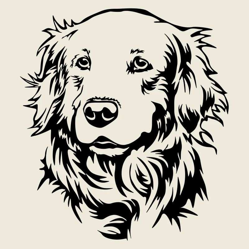 Golden Retriever Kopf