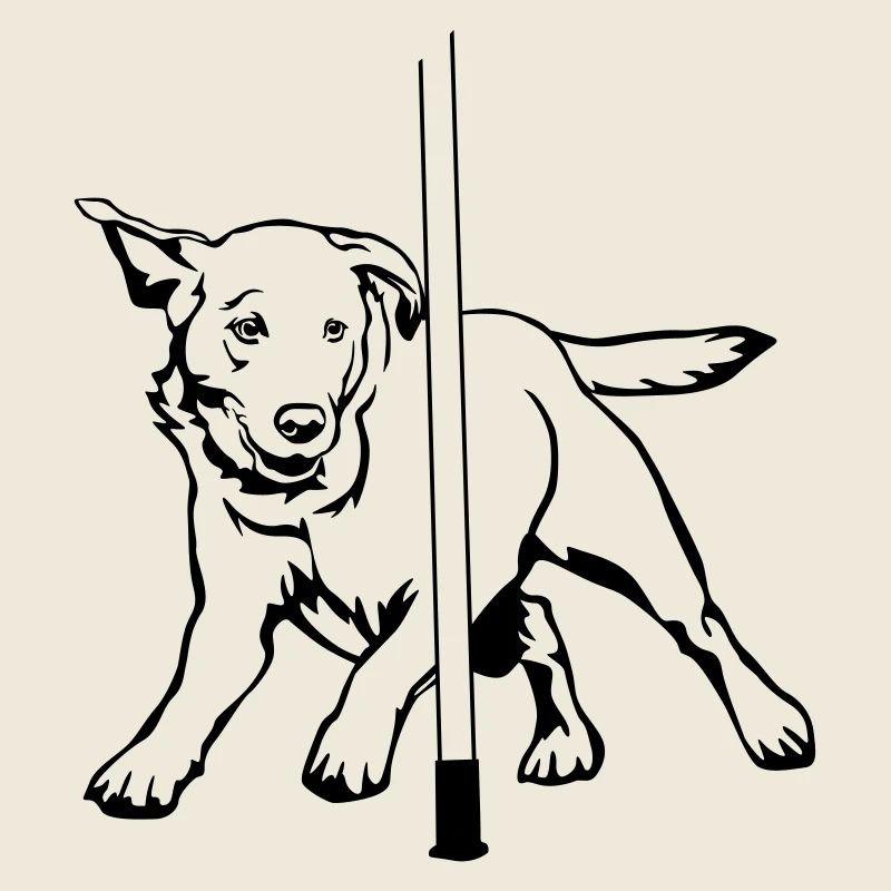 Labrador