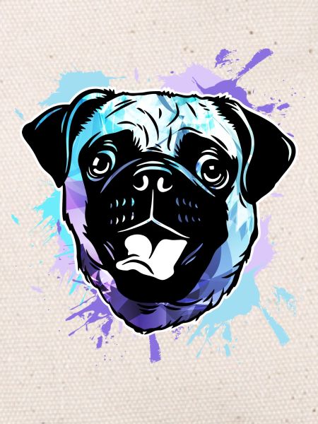 Mops Hund