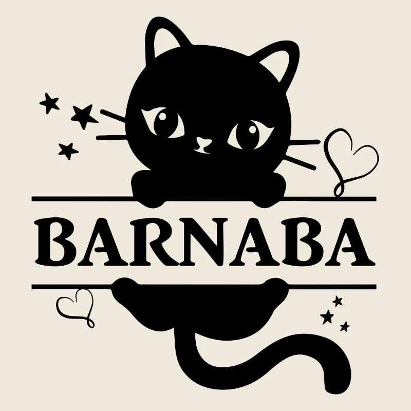 Barnaba t-shirt chat idée cadeau chat