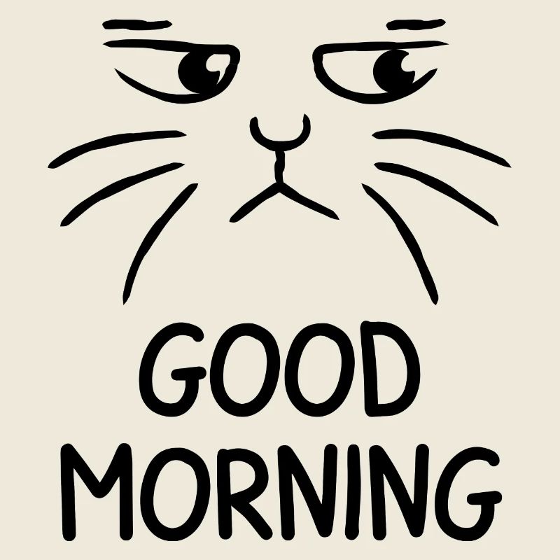 Good Morning cat grumpy katze