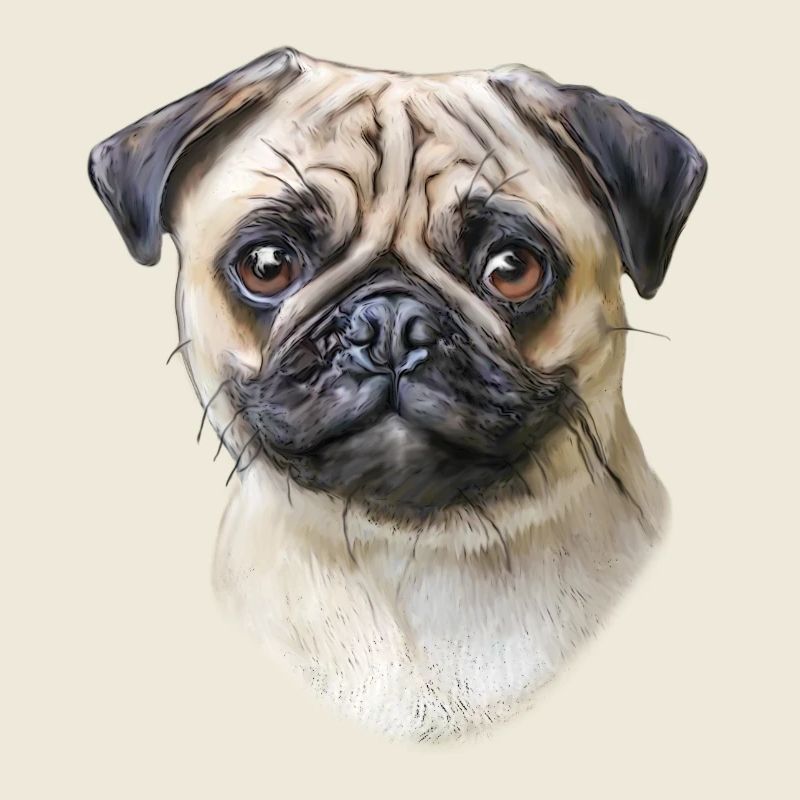 Mops