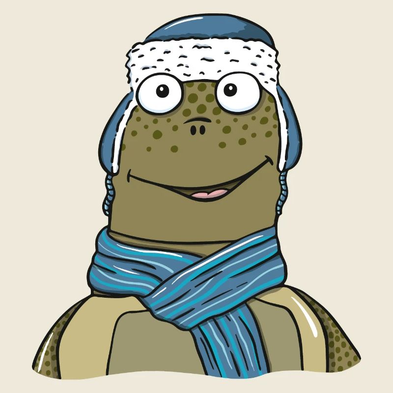 Turtle in winter
