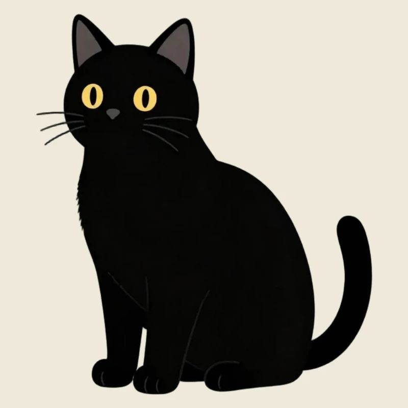 schwarze Katze Katze schwarz