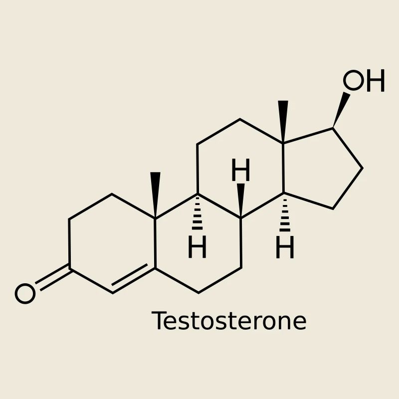 Testosterone