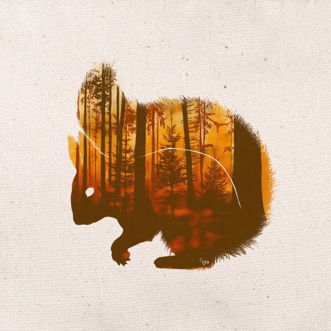 Eichhörnchen