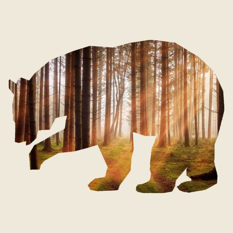 Bear Forest