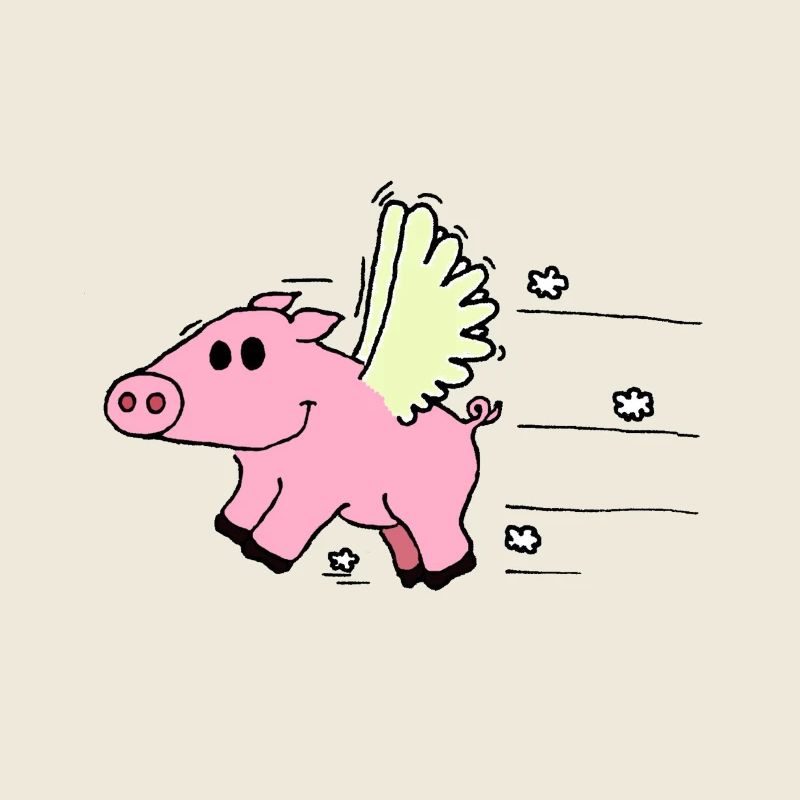Flying Pig