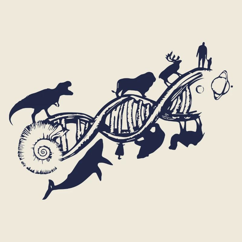 Evolution