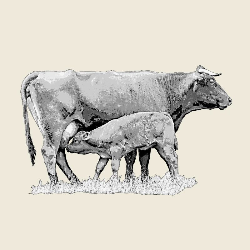 Vache avec veau – Graphique de ferme robuste