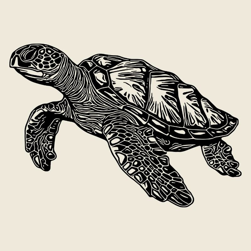 Elegant Swimming Turtles for Divers