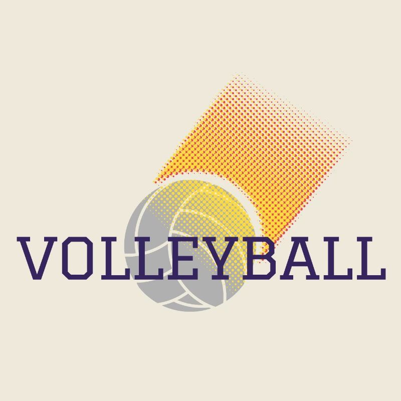 Volley-ball