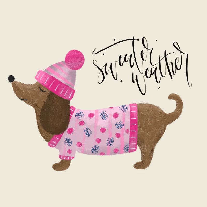 Teckel avec pull et chapeau Pull Météo rose