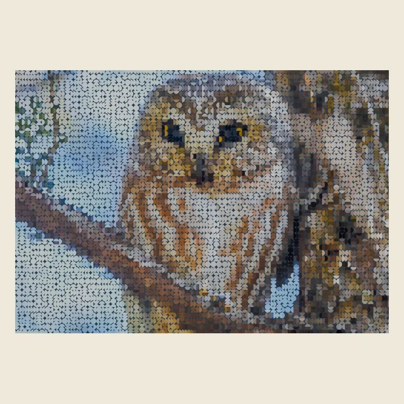 Nächtliche Eulen-Mosaik