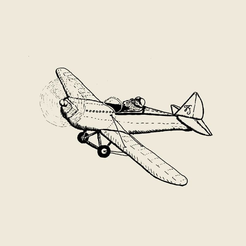 Schnurrhaarpilot
