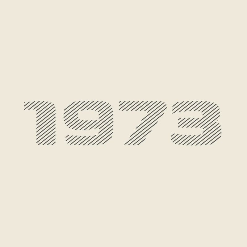 Born 1973 Retro Stripe Modern Birthday Design