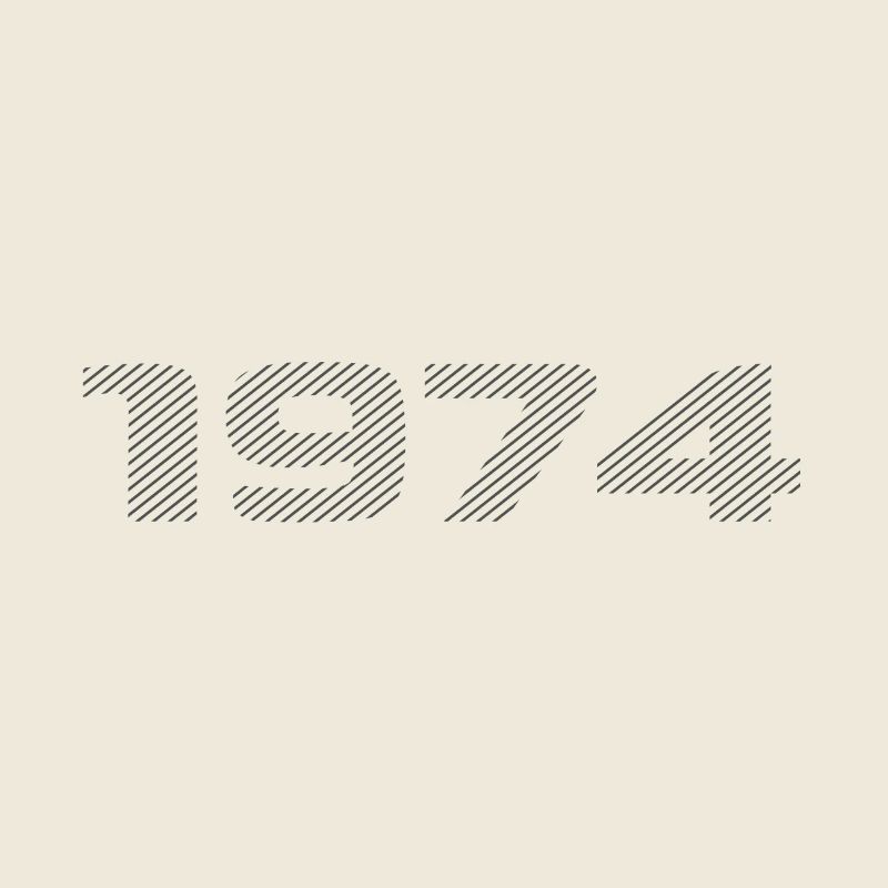 Geboren 1974 Retro Stripe Modernes Geburtstagsdesign