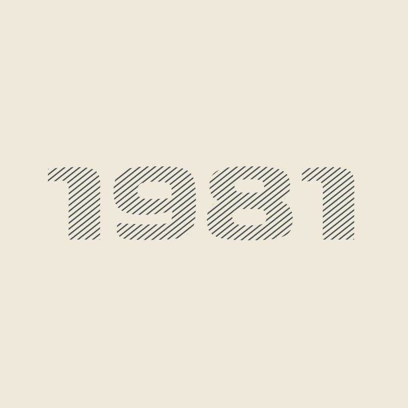 Geboren 1981 Retro Stripe Modernes Geburtstagsdesign