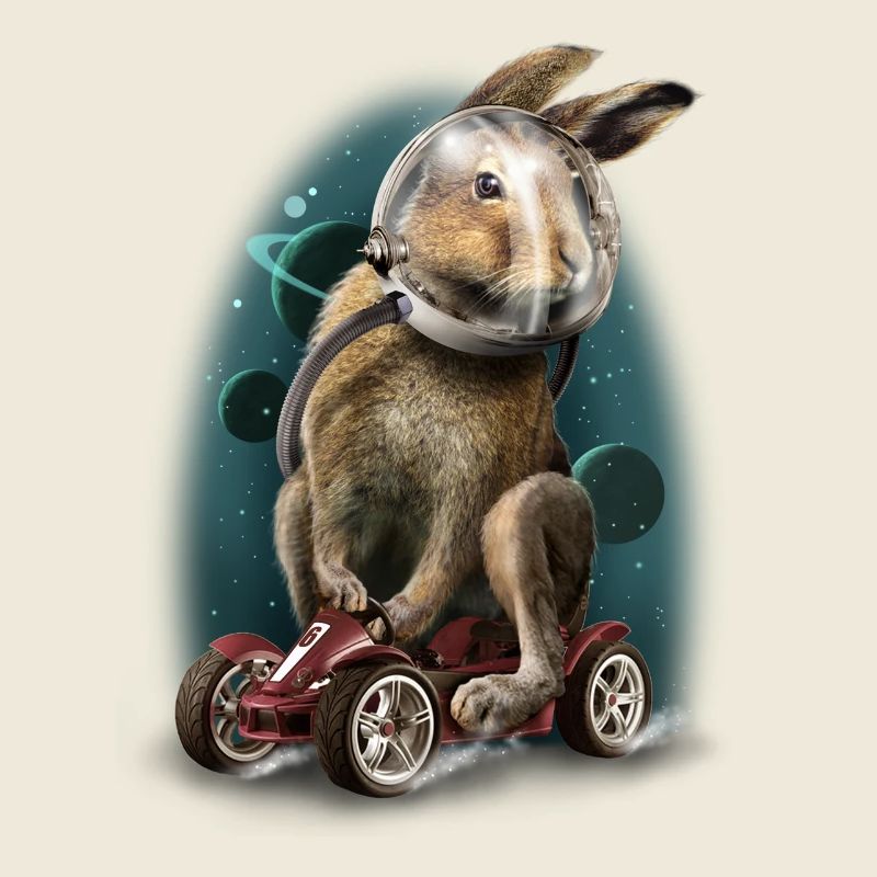 Rabbit race