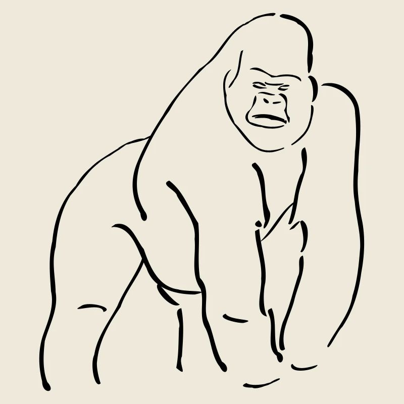 Collection singes