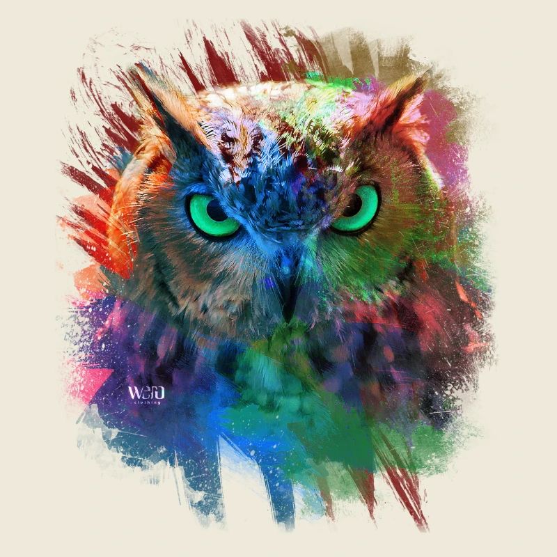 Hibou multi couleur