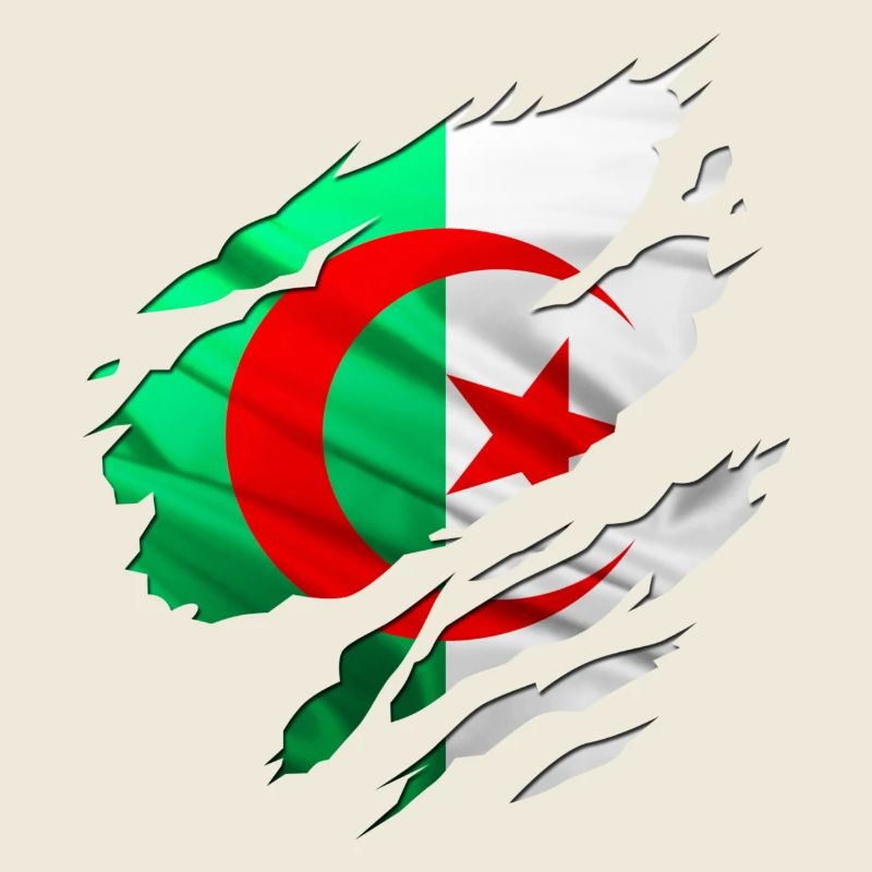 afrique algerie arabe