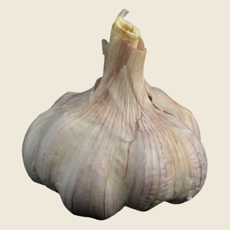 garlic garlic veggie vegetables vegetables6