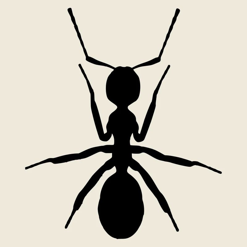 ANT