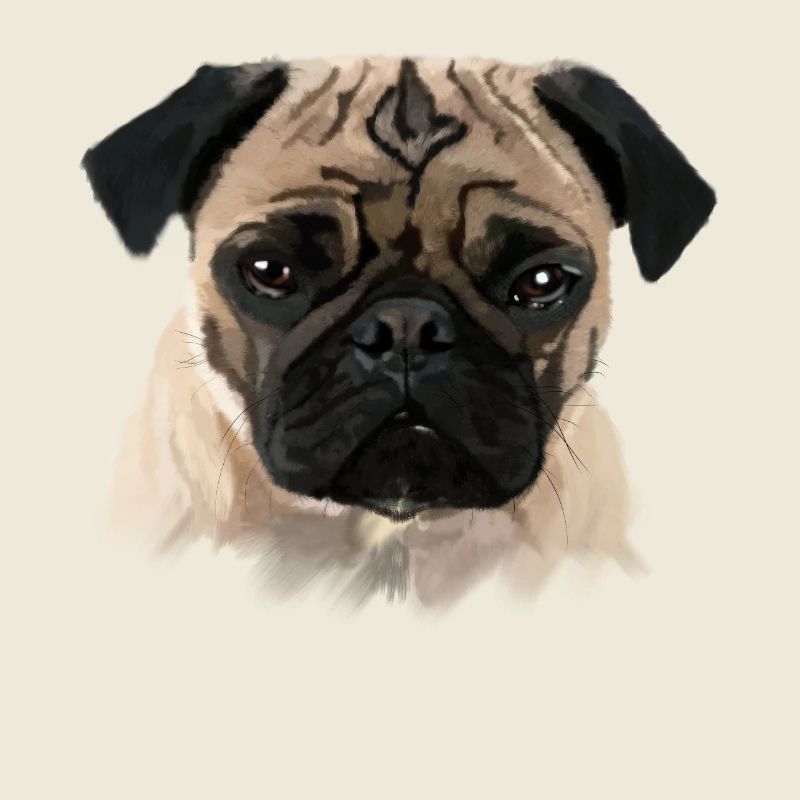 Mops