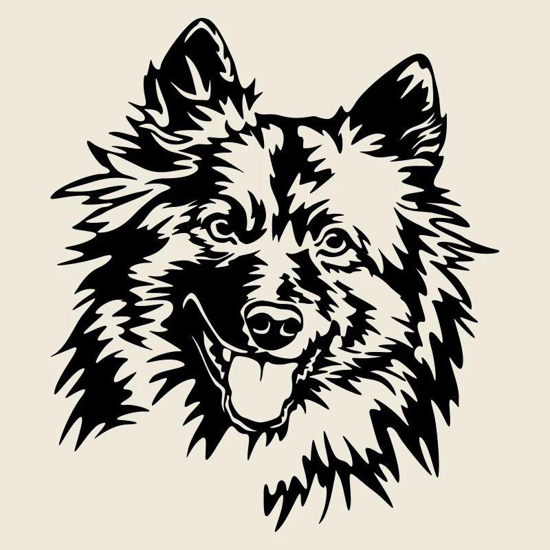 Wolfsspitz Kopf