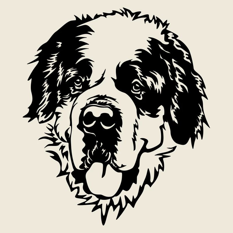 St. Bernard's Head