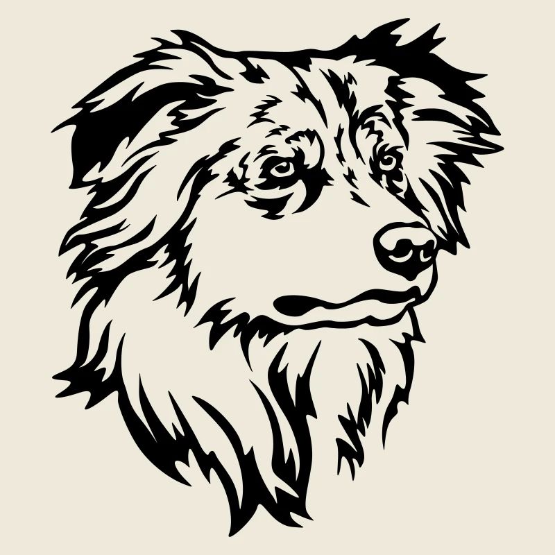 Australian Shepherd Head