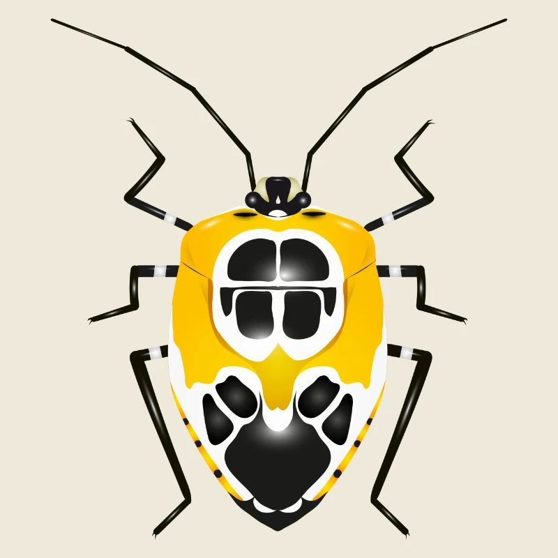 Runibia decorata Creepy Crawly Insect Yellow Black