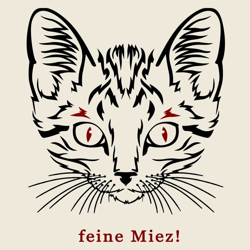 Cat, fine kitty