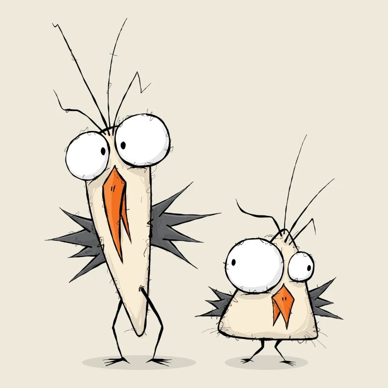 Freaky Birds
