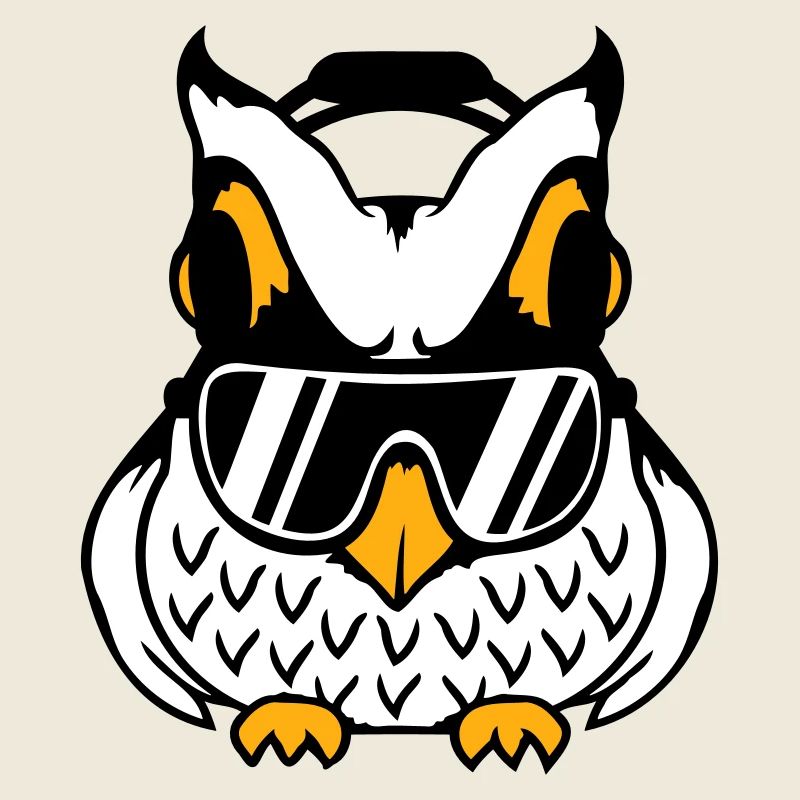 hibou écouteurs lunettes de soleil musique cool soirée d’écoute