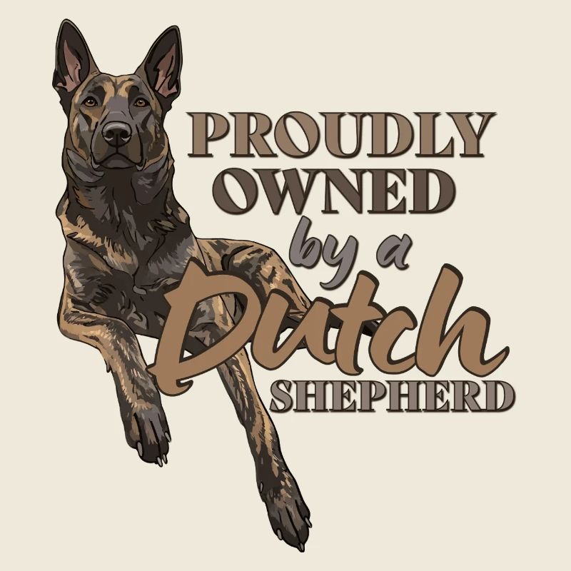 Dutch Shepherd - Dutchie 