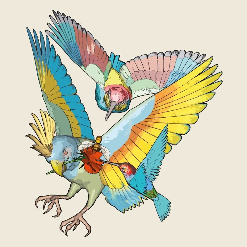 Oiseaux colorés