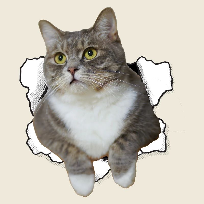 Chat mignon qui sort du trou - Dessin drôle de chat
