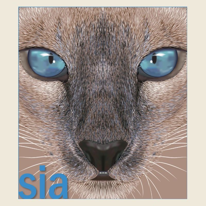 Siamkatze
