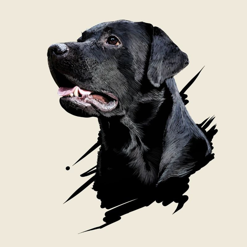 Labrador